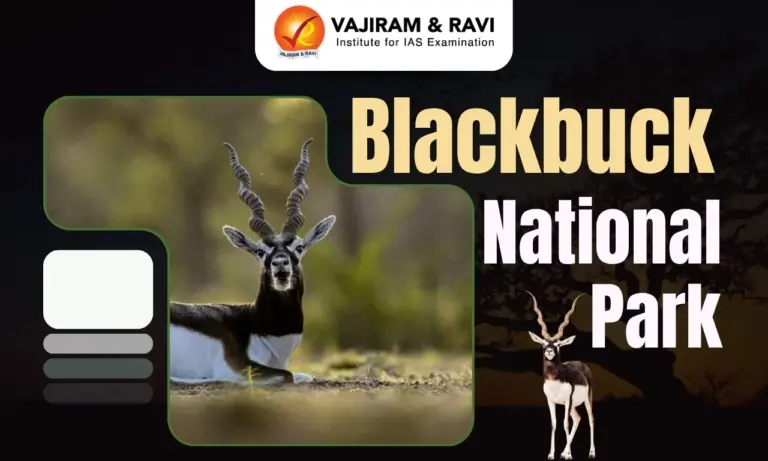 Blackbuck National Park