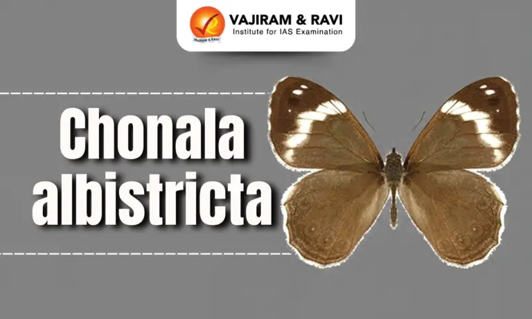 Chonala albistricta