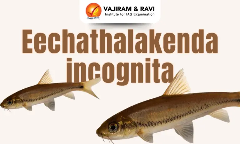 Eechathalakenda incognita