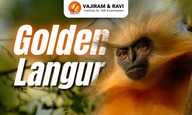 Golden Langur