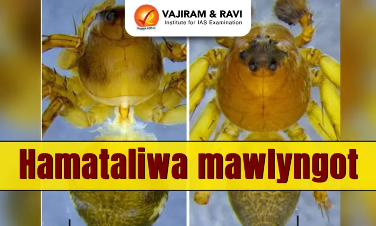 Hamataliwa mawlyngot