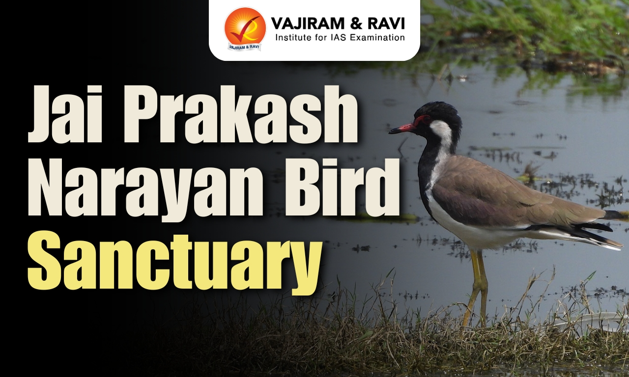 Jai Prakash Narayan Bird Sanctuary