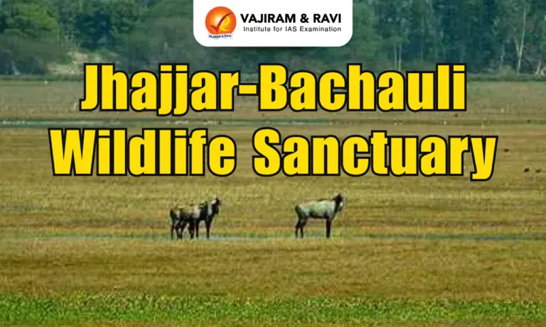 Jhajjar-Bachauli Wildlife Sanctuary