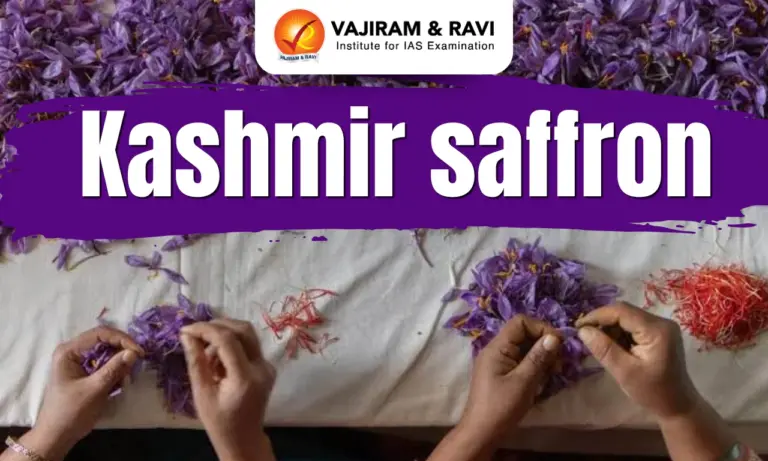 Kashmir Saffron