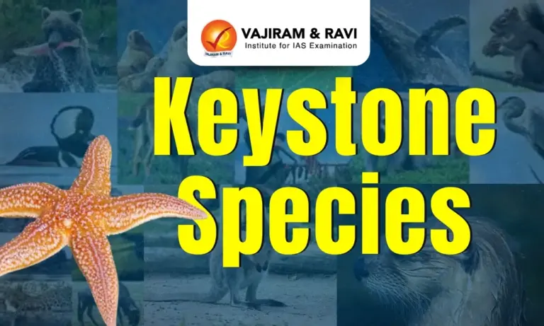 Keystone Species