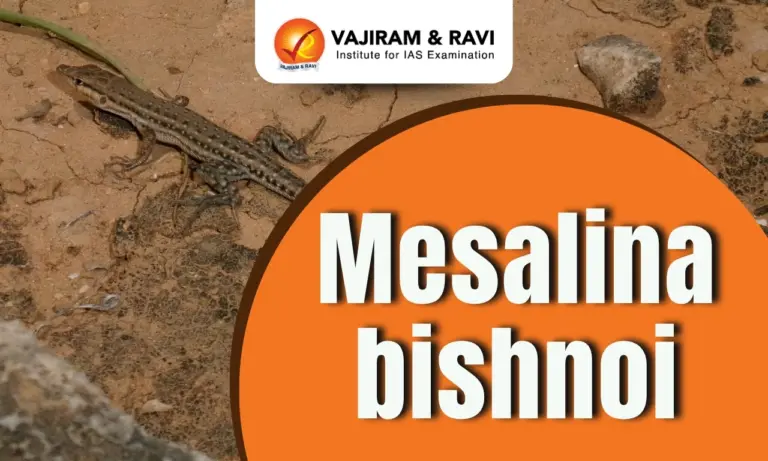 Mesalina bishnoi