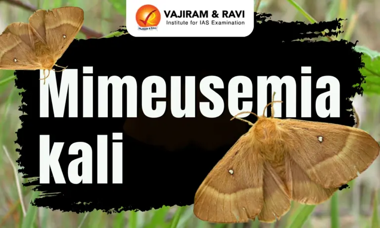 Mimeusemia kali