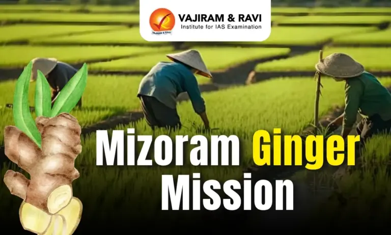 Mizoram Ginger Mission