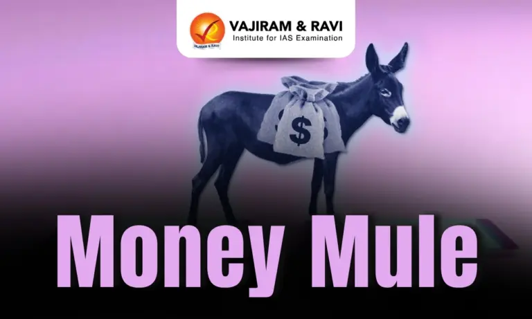 Mule Account
