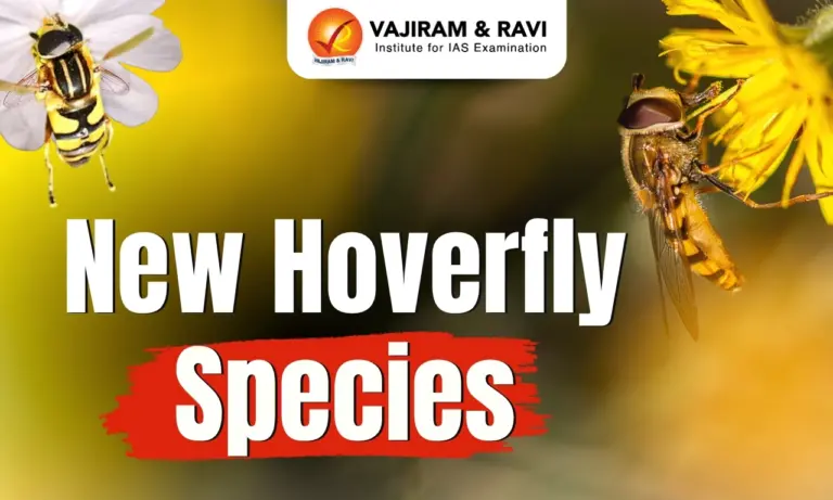 New Hoverfly Species