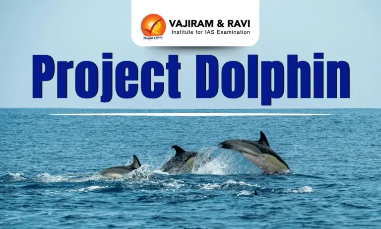 Project Dolphin