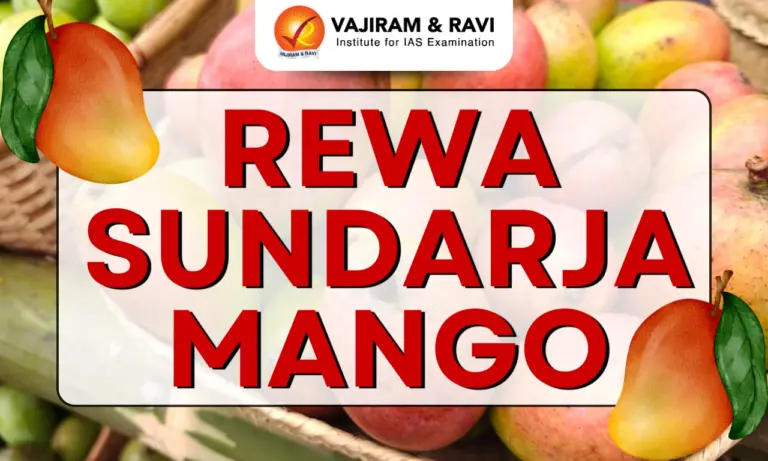 Rewa Sundarja Mango