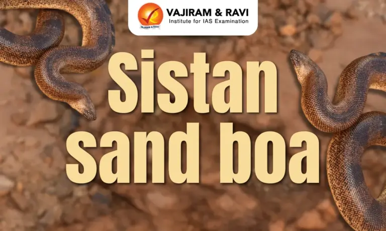 Sistan sand boa