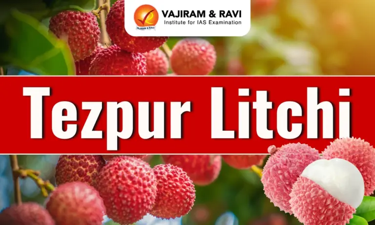 Tezpur Litchi
