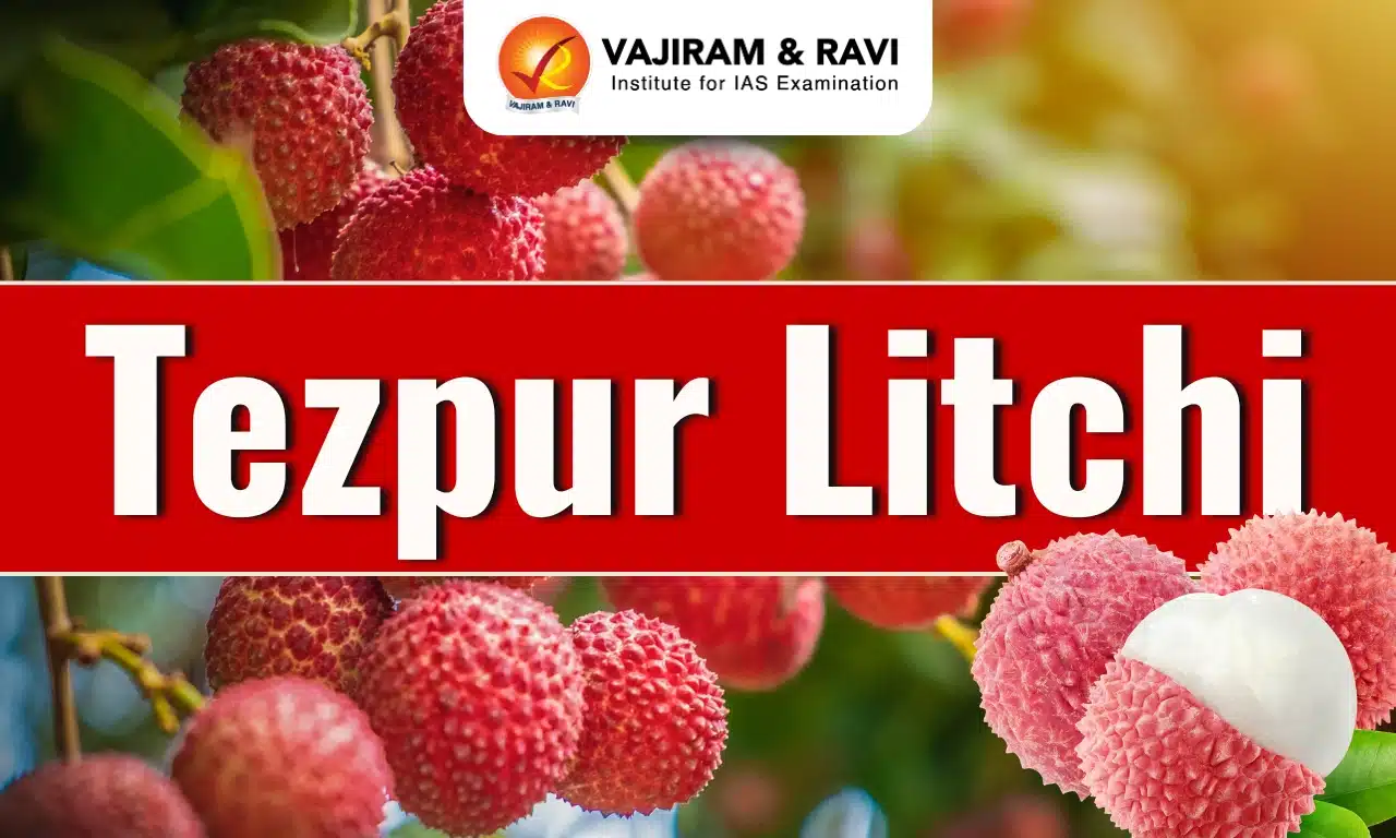 Tezpur Litchi