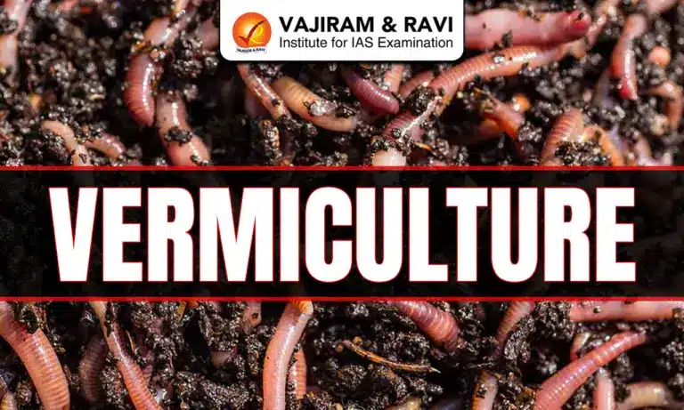 Vermiculture