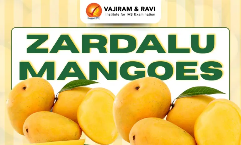 Zardalu Mangoes