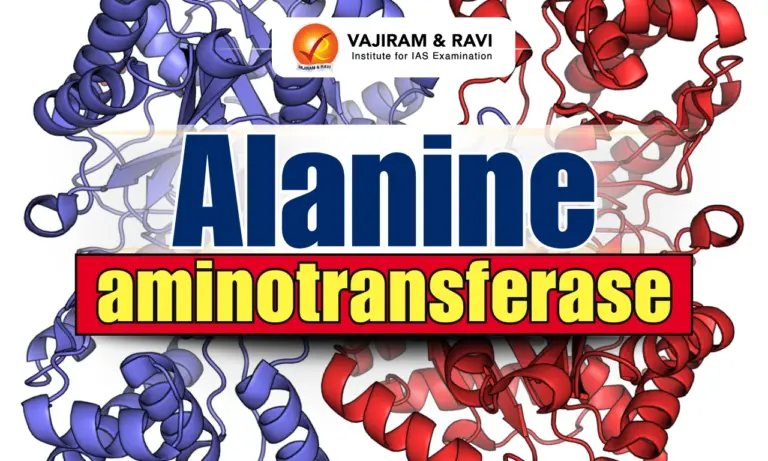Alanine aminotransferase