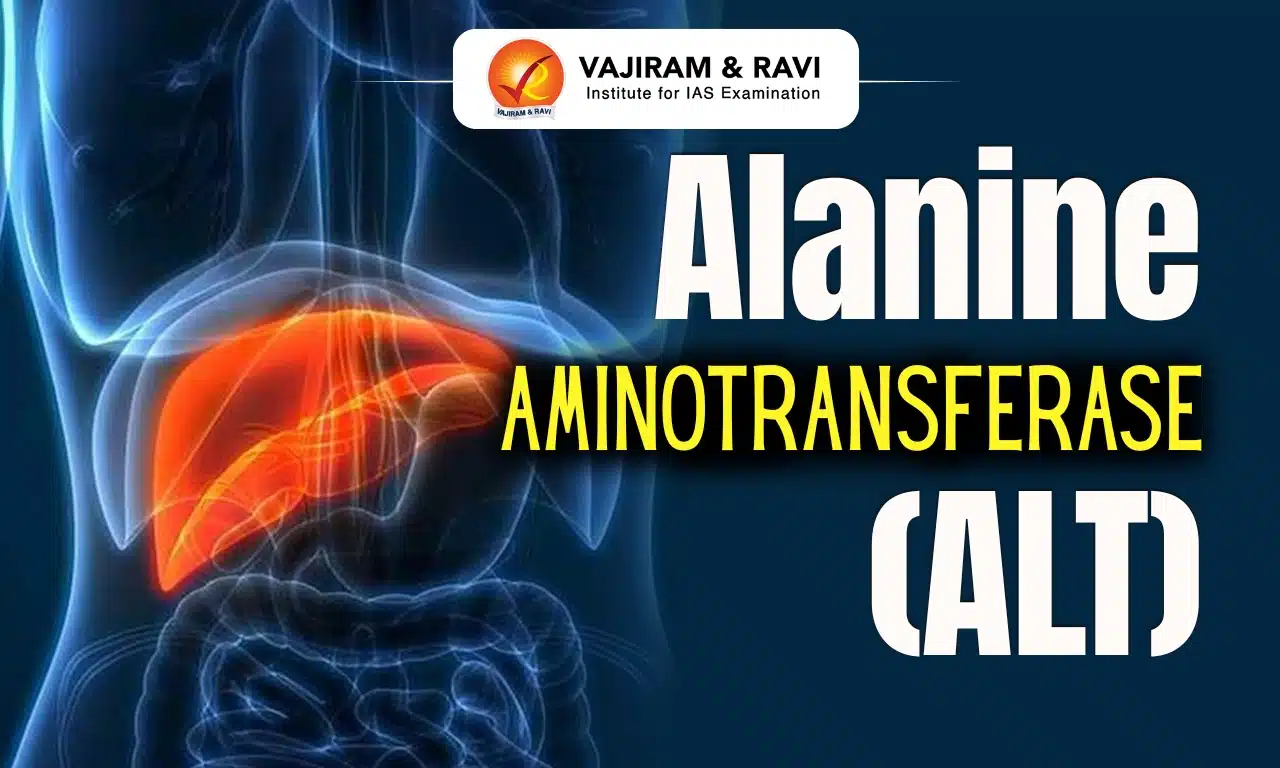 Alanine aminotransferase (ALT)