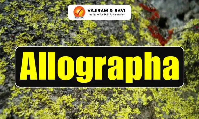 Allographa