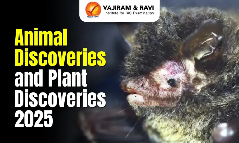 Animal Discoveries and Plant Discoveries 2025