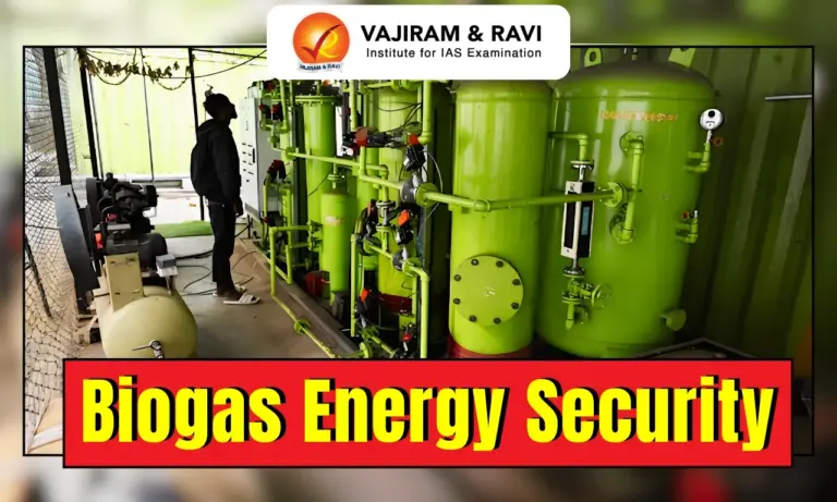 Biogas Energy Security