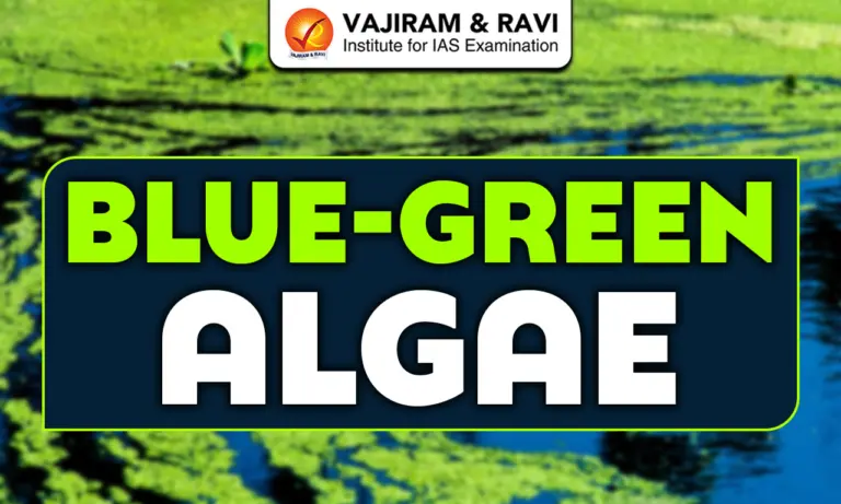 Blue-Green Algae
