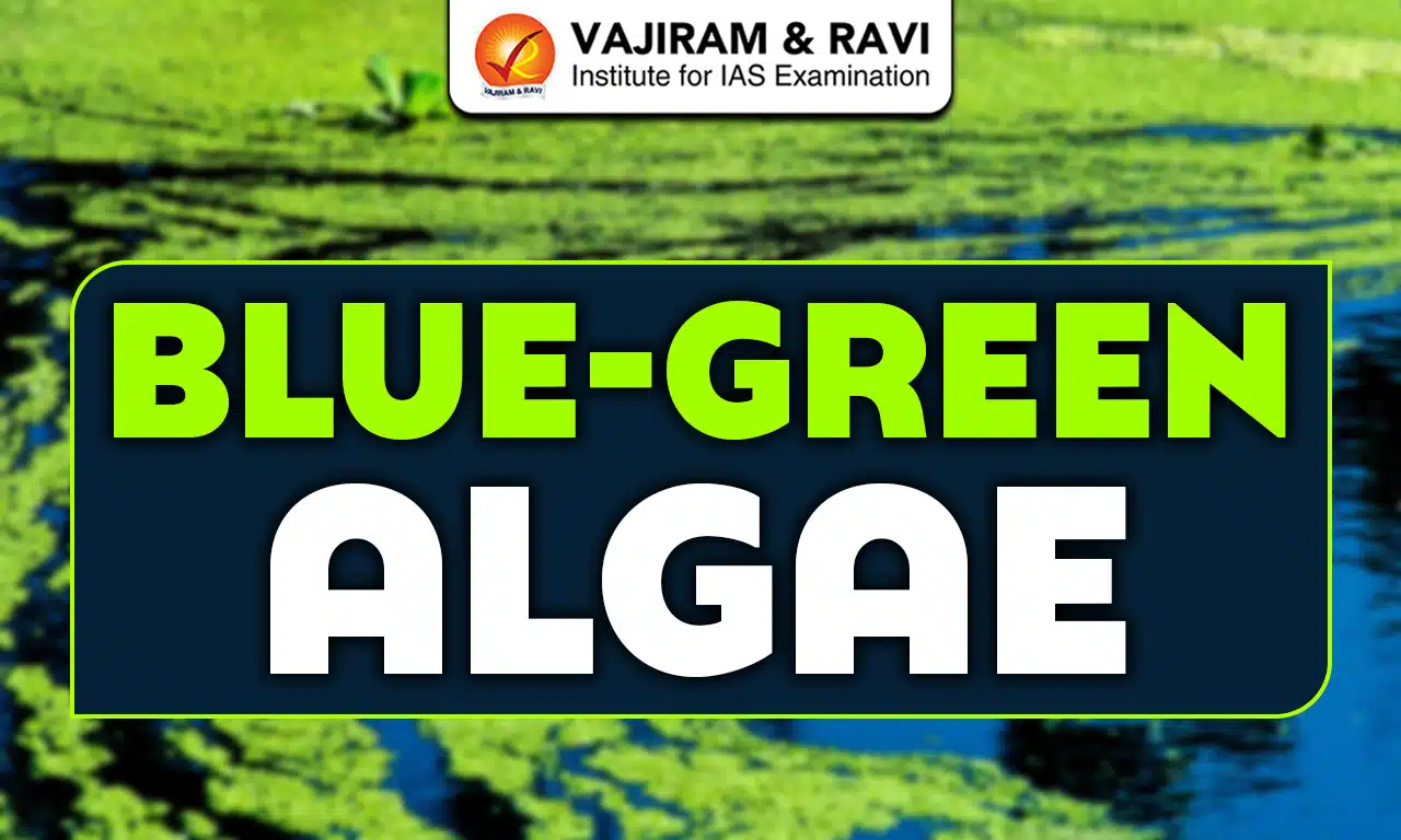 Blue-Green Algae