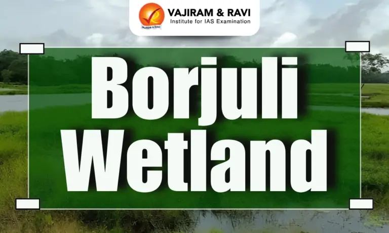 Borjuli Wetland