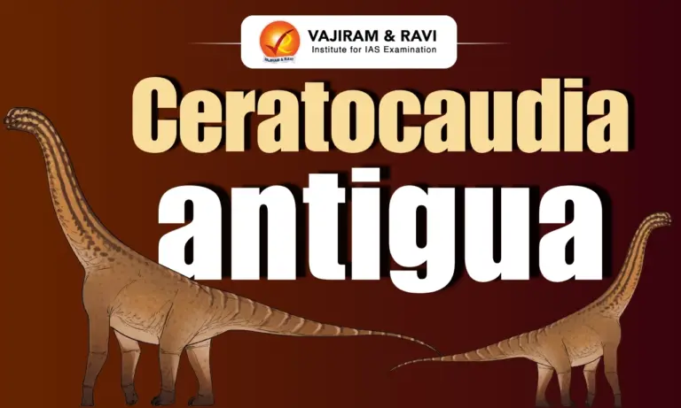 Ceratocaudia antigua