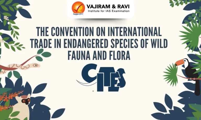 Convention on International Trade in Endangered Species of Wild Fauna and Flora