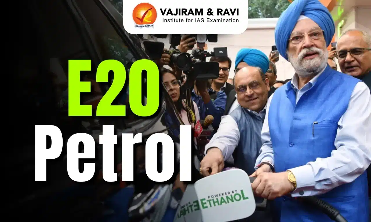 E20 Petrol