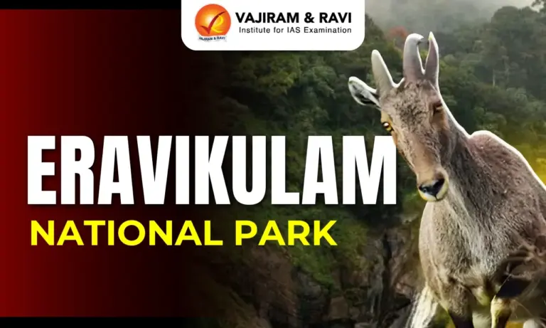 Eravikulam National Park