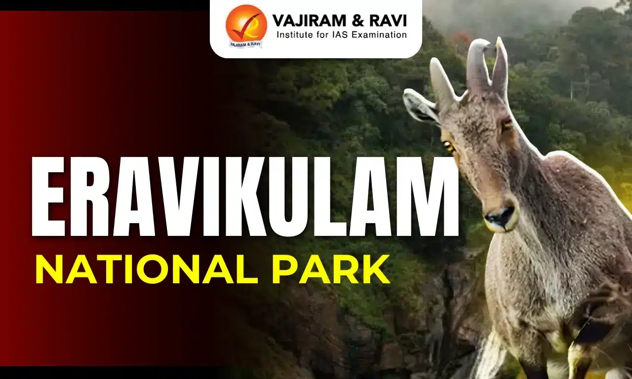 Eravikulam National Park