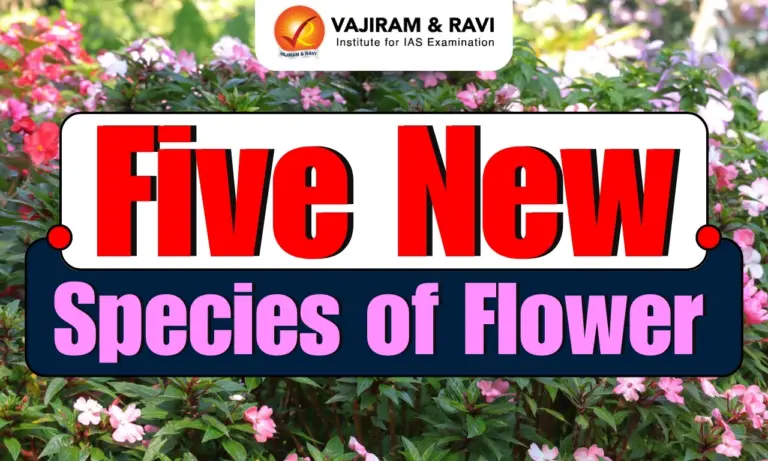 Five New Species of Flowering Plants