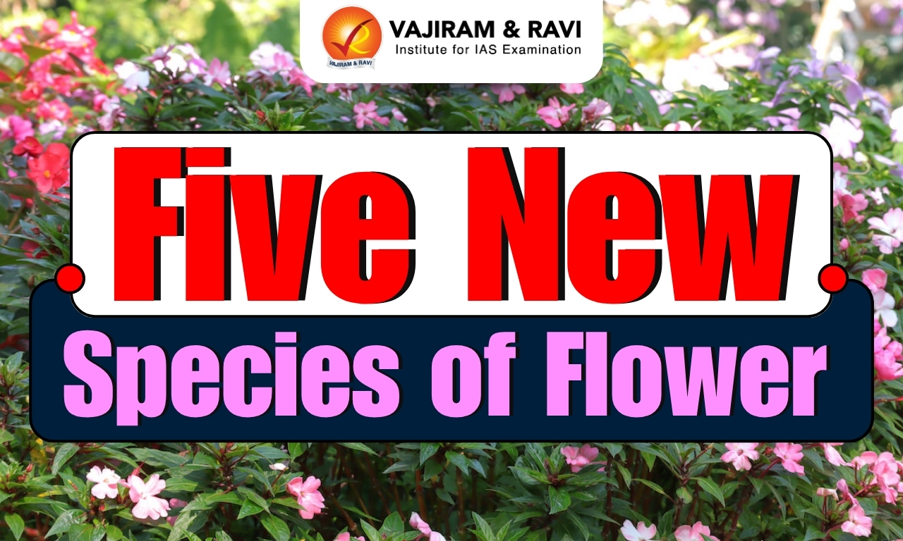 Five New Species of Flowering Plants