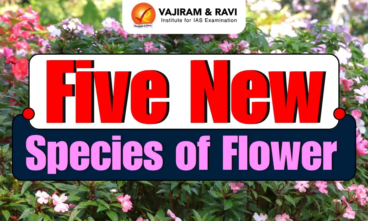 Five New Species of Flowering Plants