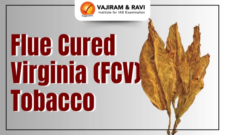 Flue Cured Virginia (FCV) Tobacco
