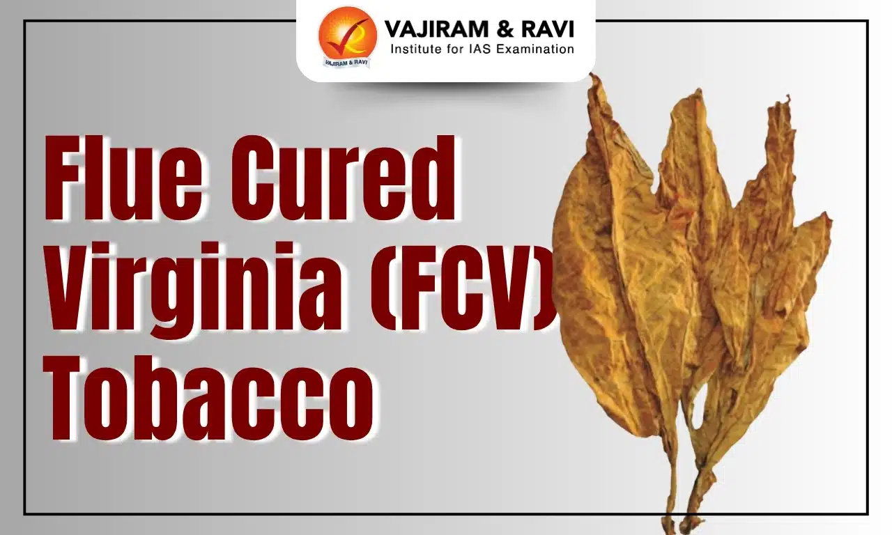 Flue Cured Virginia (FCV) Tobacco