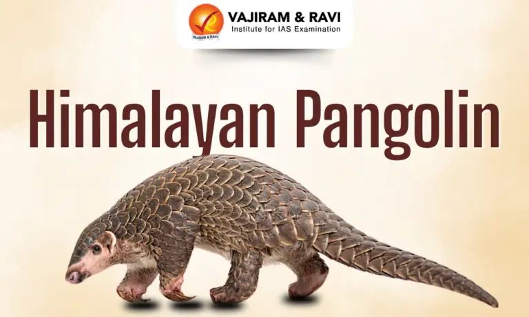 Himalayan Pangolin