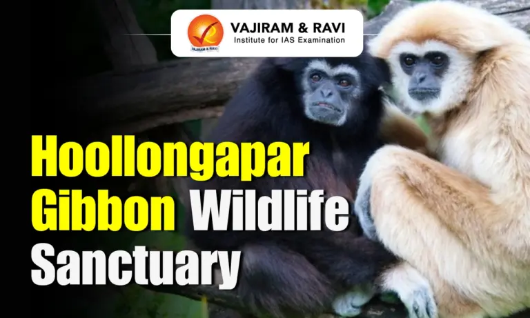 Hoollongapar Gibbon Wildlife Sanctuary
