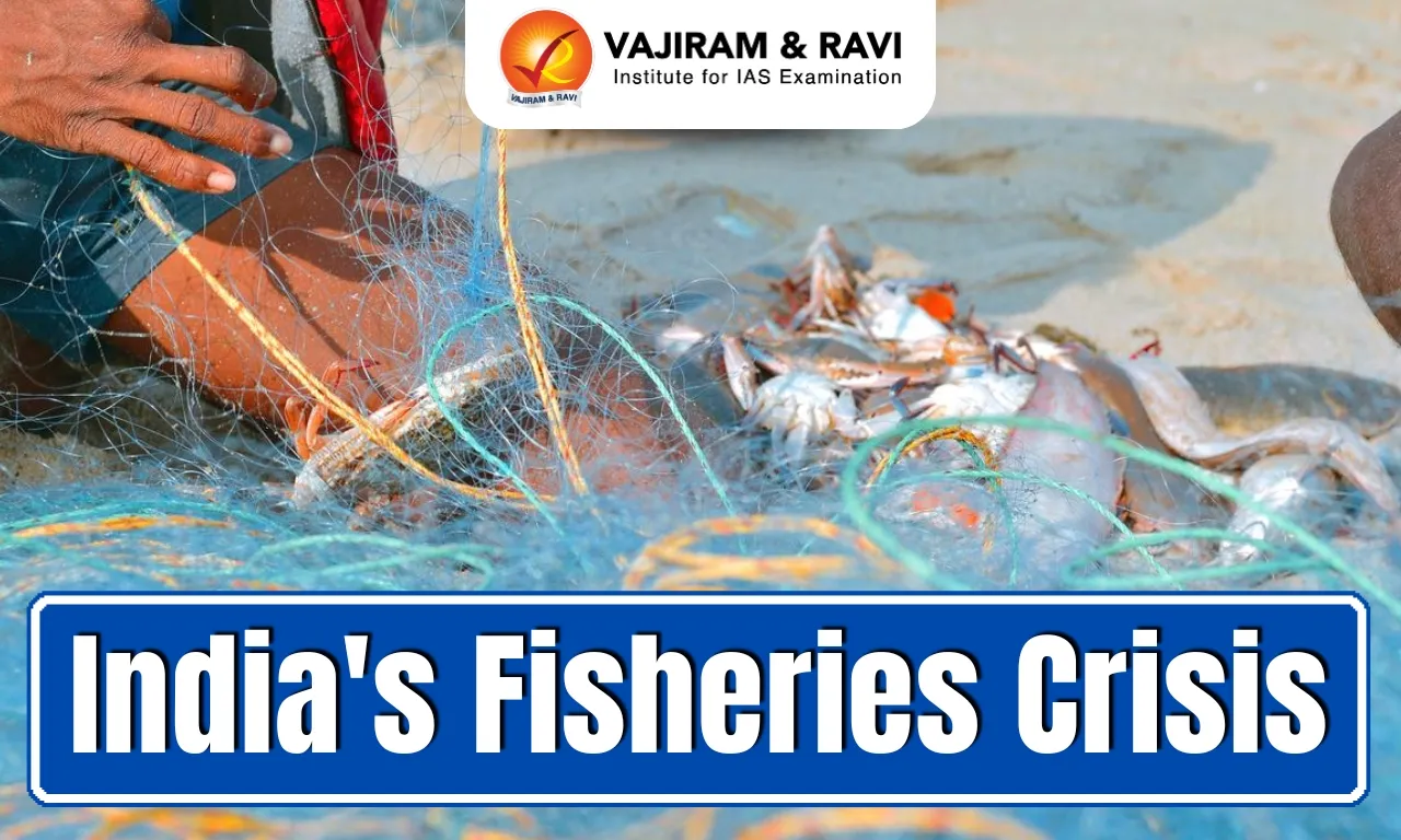 India's Fisheries Crisis