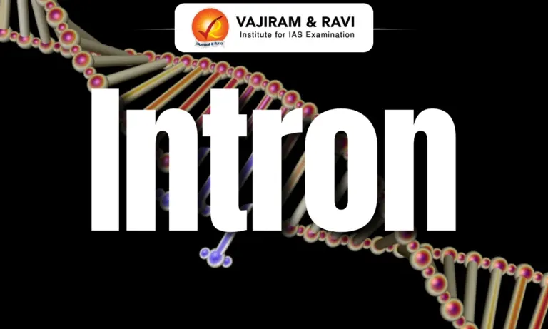 Intron