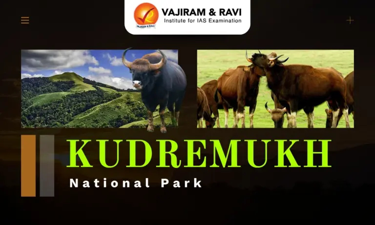Kudremukh National Park