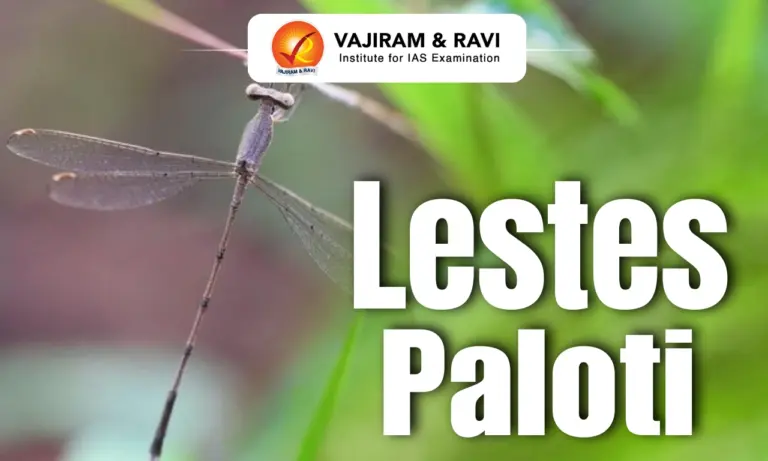 Lestes Paloti