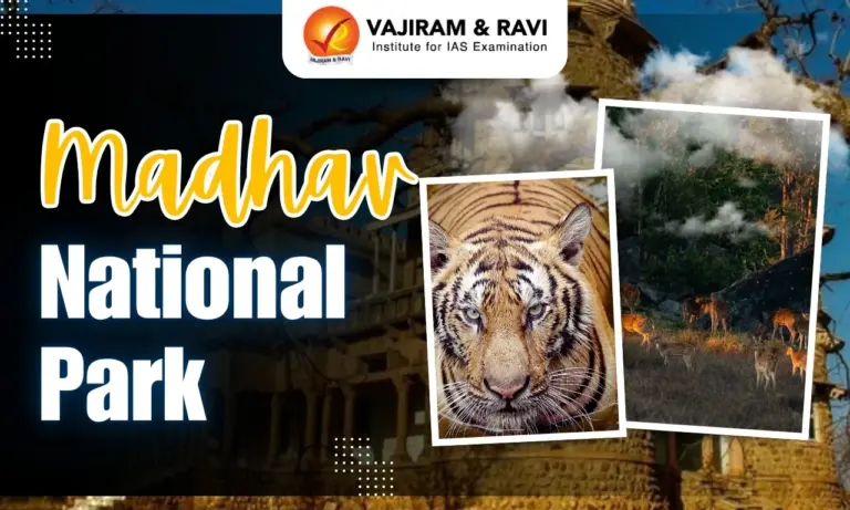 Madhav National Park