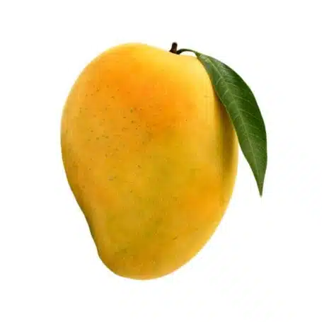 Mango Mango