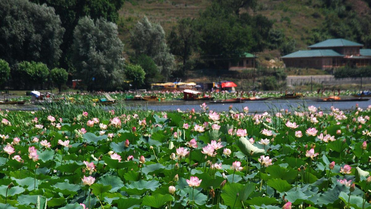 Manasbal Lake