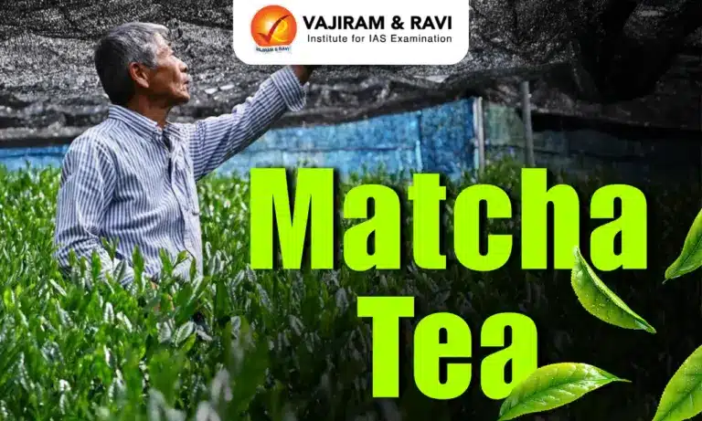 Matcha Tea