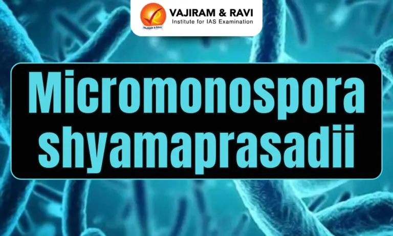 Micromonospora shyamaprasadii